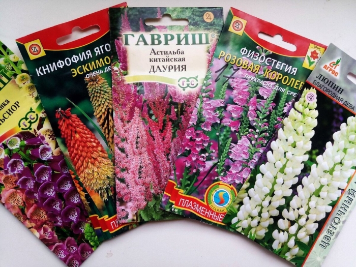 Семена гавриш  люпин минарет