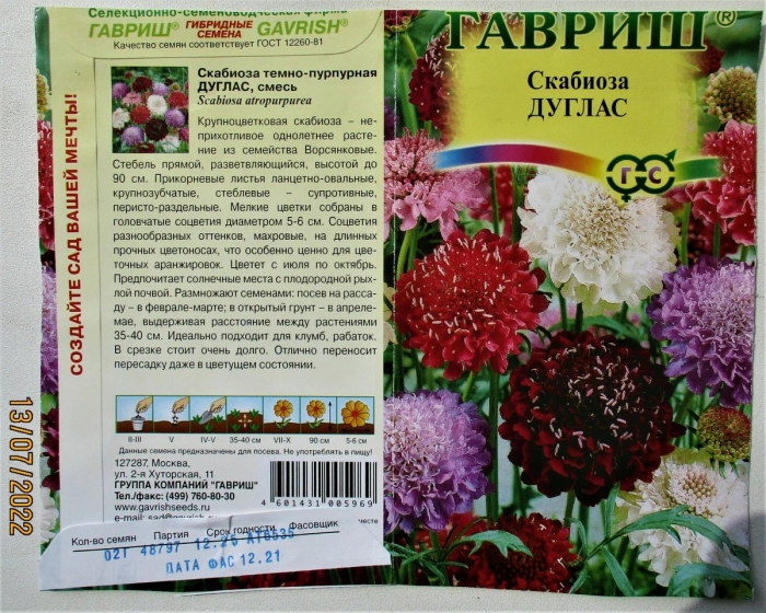 Скабиоза пурпурная махровая смесь