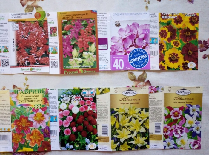 Семена многолетние цветы