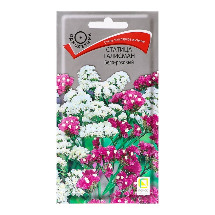 Статица талисман бело-розовый