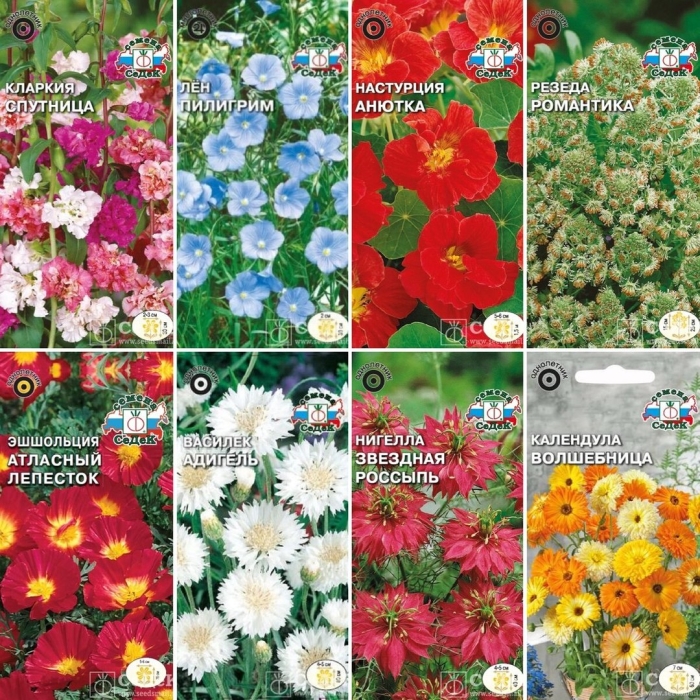 Цветы однолетки семена