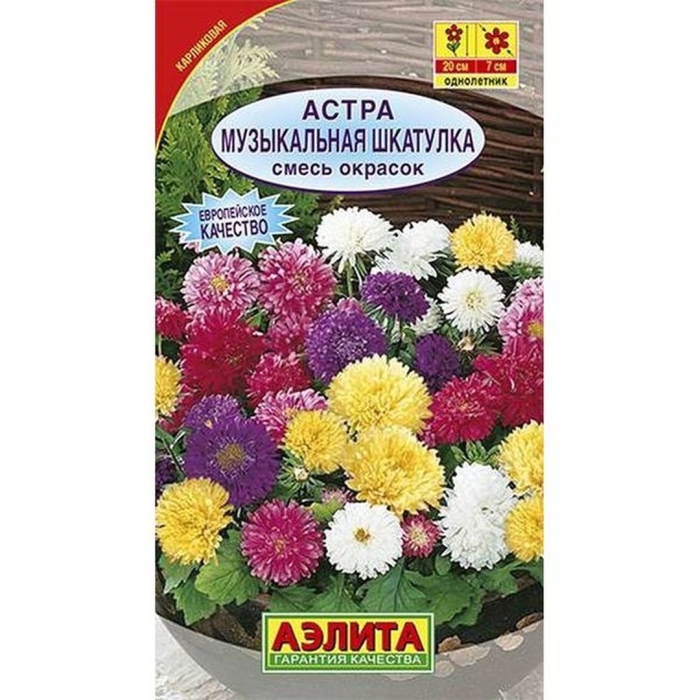 Астра музыкальная шкатулка смесь