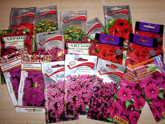 Петуния ампельная смесь окрасок