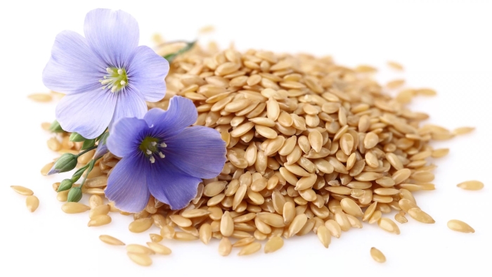 Льняное семя