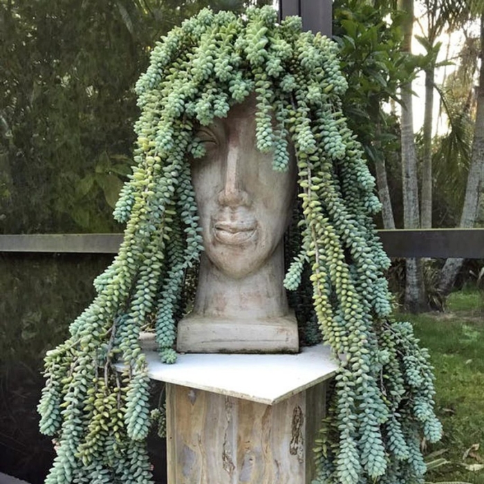 Садовые скульптуры из суккулентов