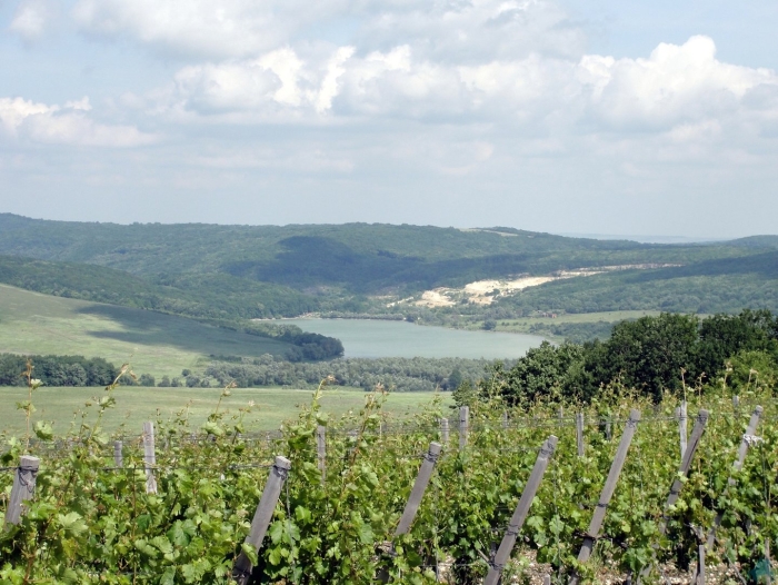 Село молдаванское крымский район