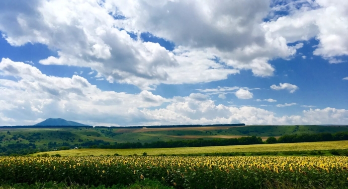 Прикубанская низменность