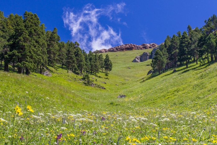 Северная осетия горы альпийские луга