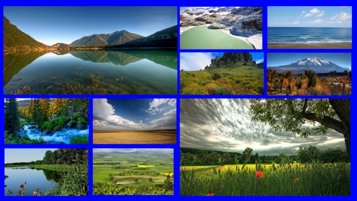 Коллаж природа