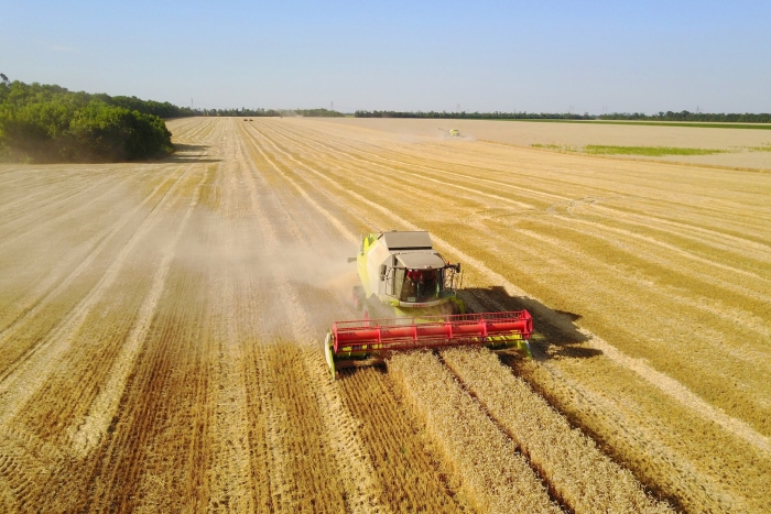 Краснодарский край житница россии