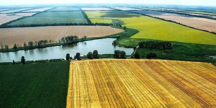 Сельскохозяйственная земля