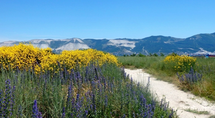 Краснодарский край кубань природа