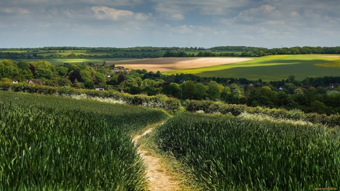 Ирландия бескрайние поля