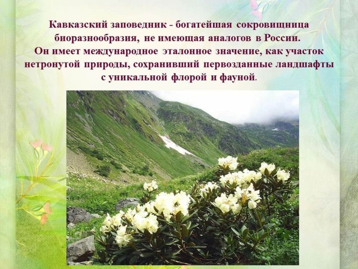 Кавказский биосферный заповедник