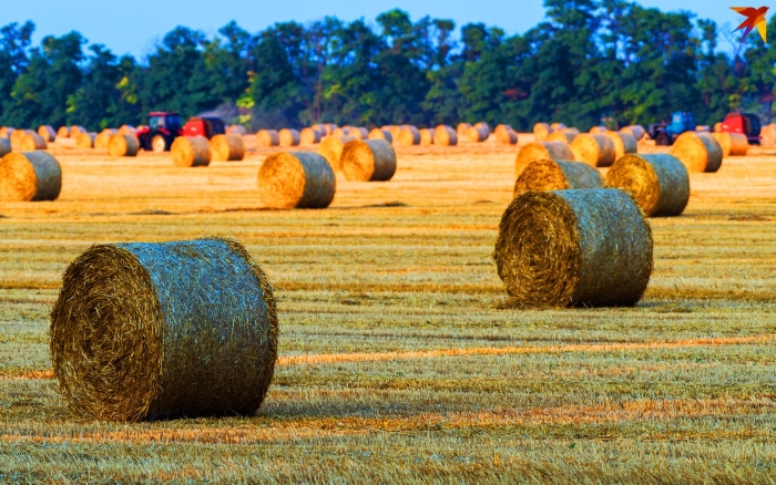 Сельского хозяйства