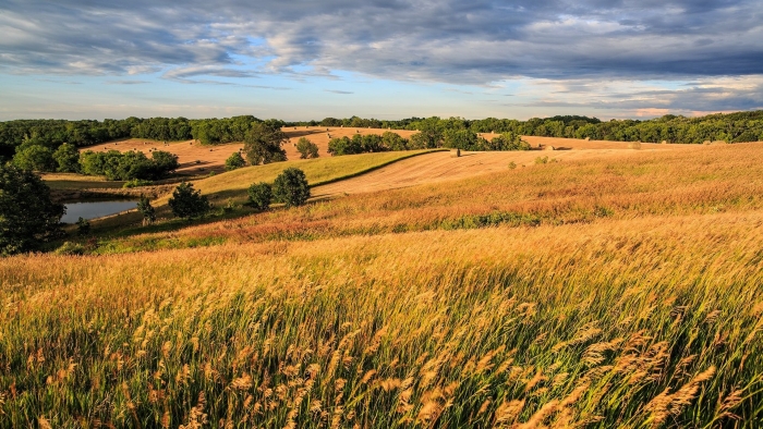 Кубанская степь краснодарский край