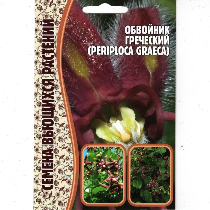 Семена обвойник греческий