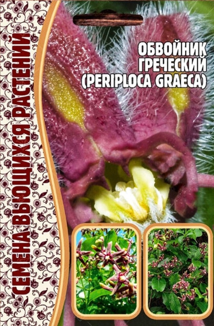 Семена обвойник греческий