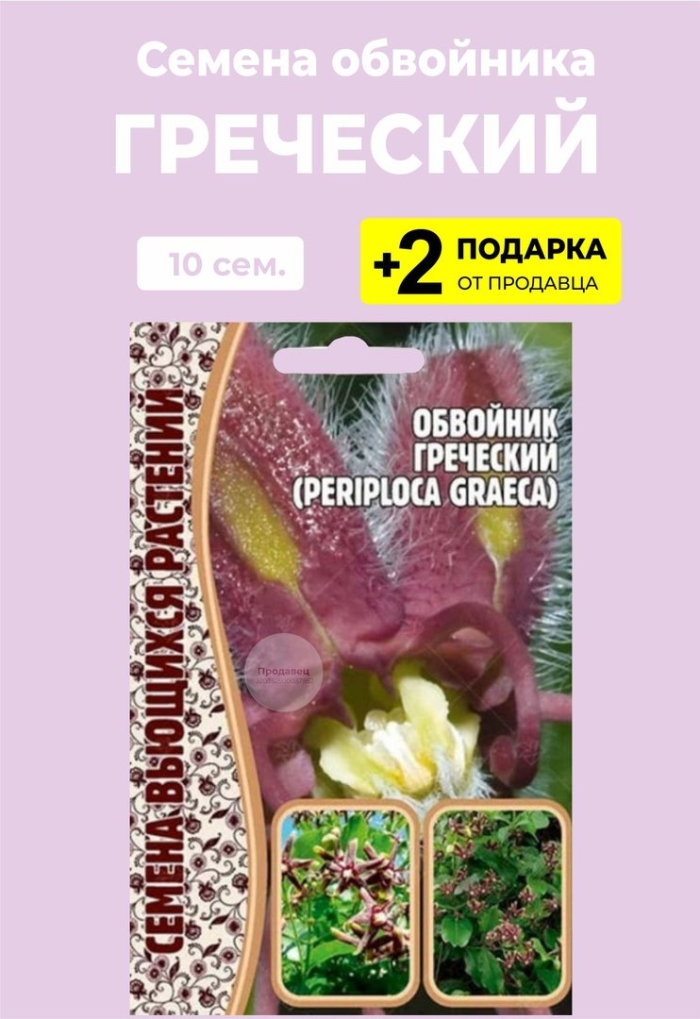 Семена обвойник греческий