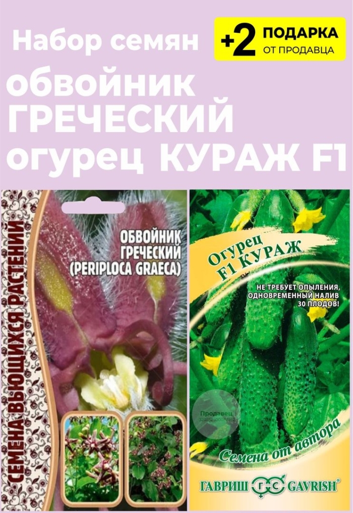 Кураж огурец
