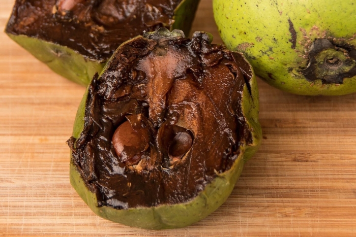 Фрукт черная сапота