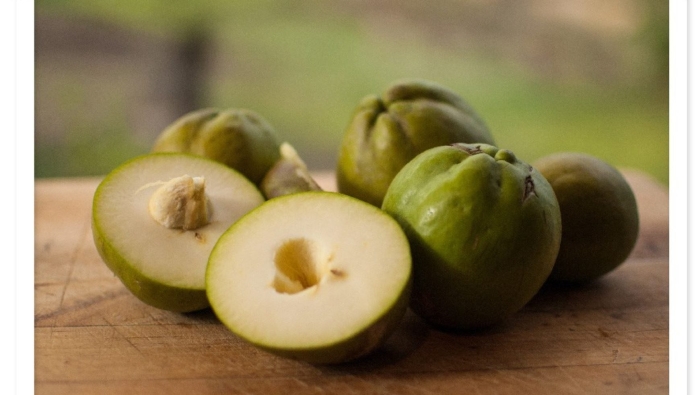 Белая сапота