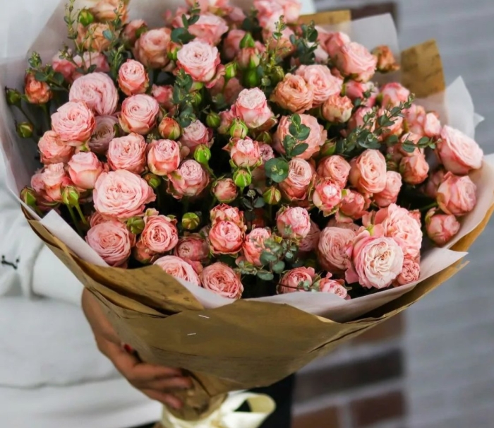 Кустовая роза мадам бомбастик