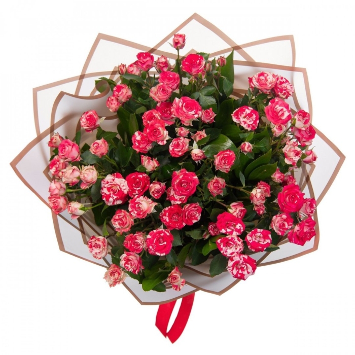 Роза кустовая грация