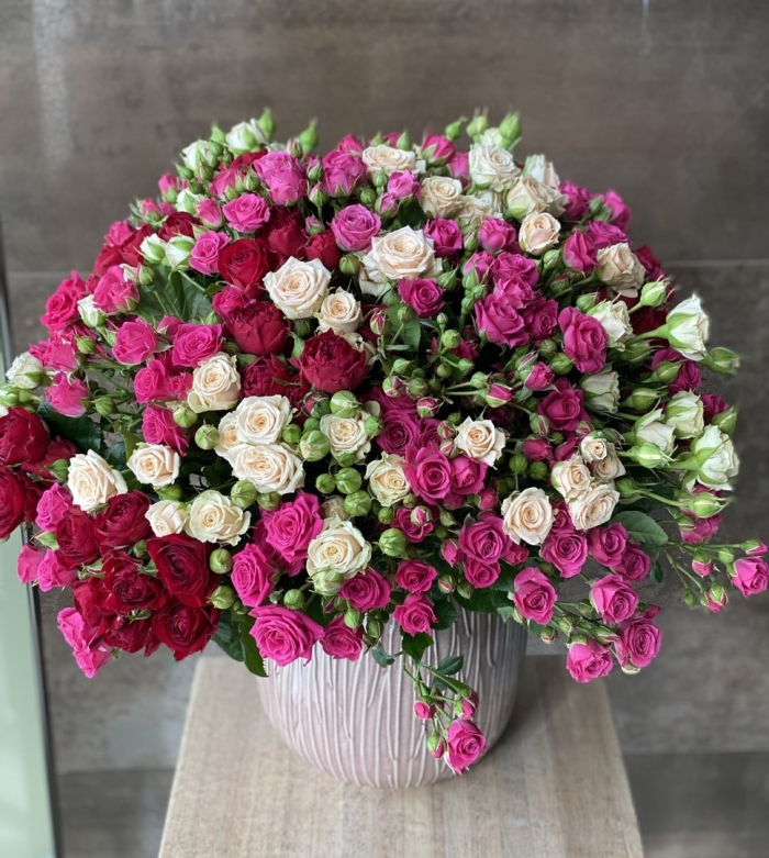 Роза кустовая микс-25шт