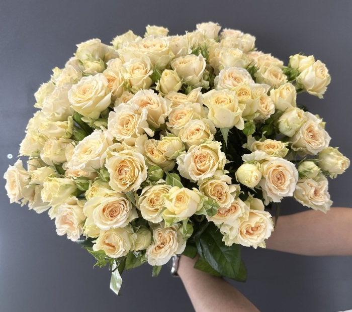 Кремовые кустовые розы