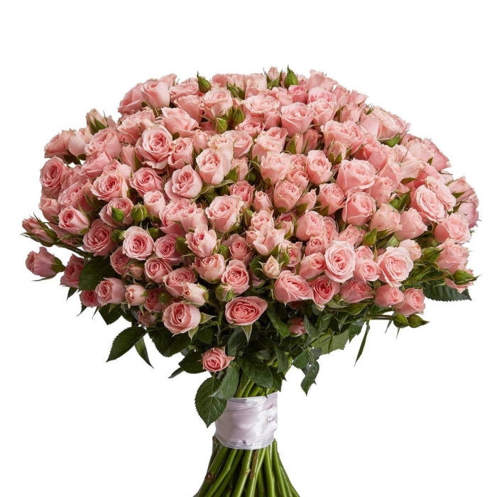 Кустовая роза розовая