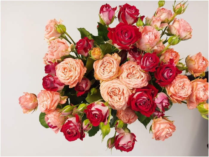 Кустовая роза рубикон