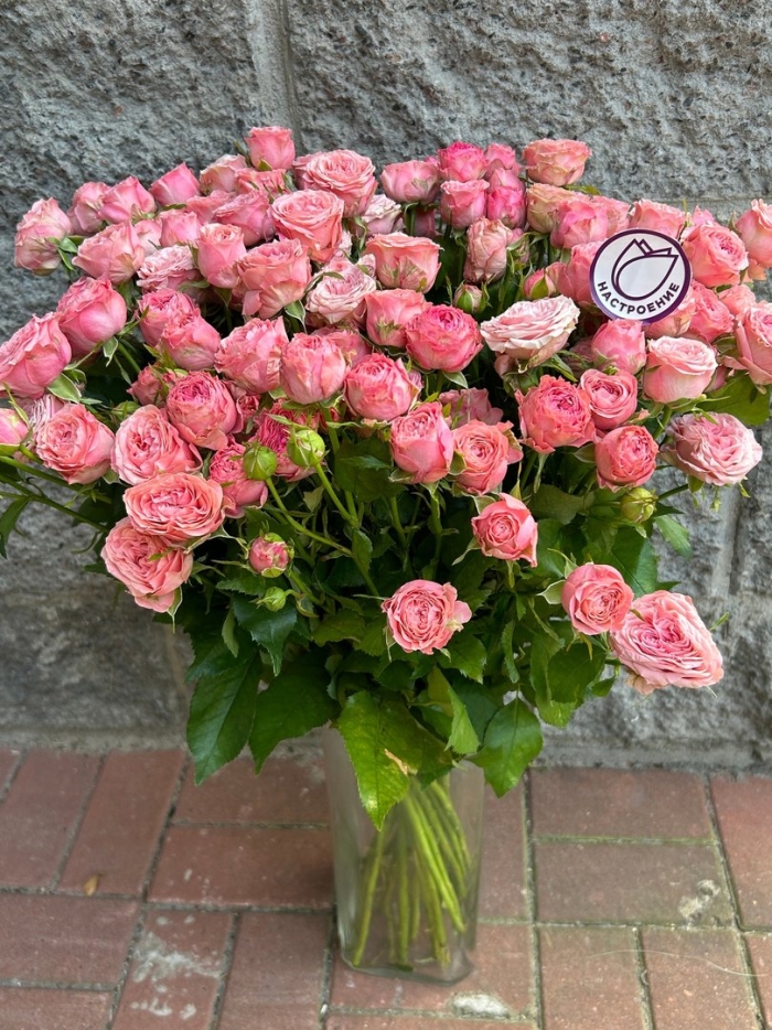 Бомбастик роза кустовая