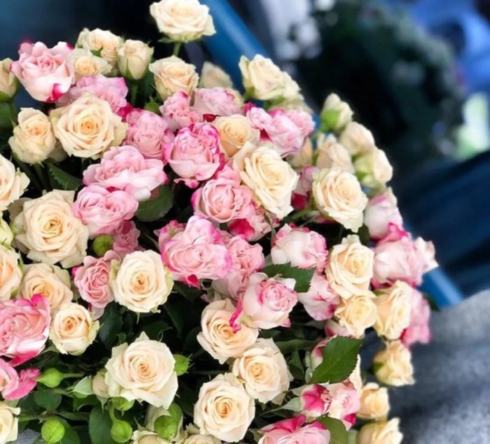 3 кустовые розы