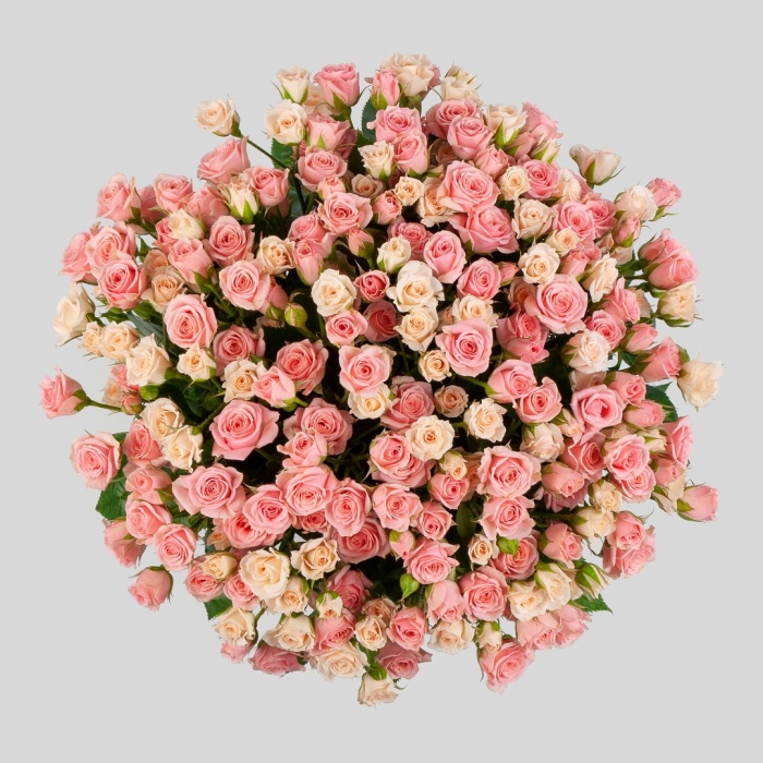 Кустовая роза лидия