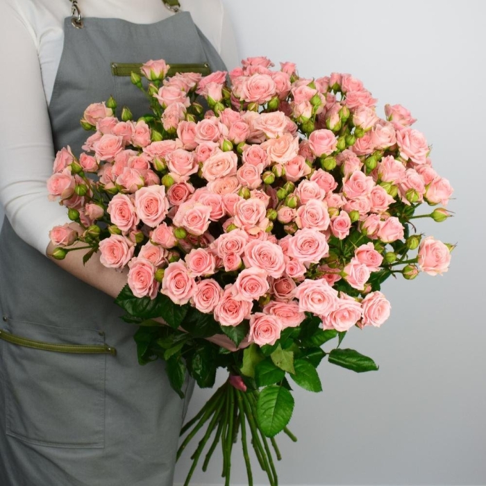 Роза кустовая сильва пинк