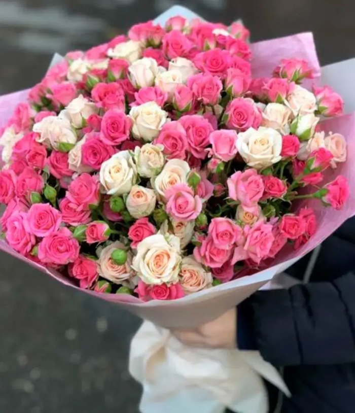 С35 роза кустовая