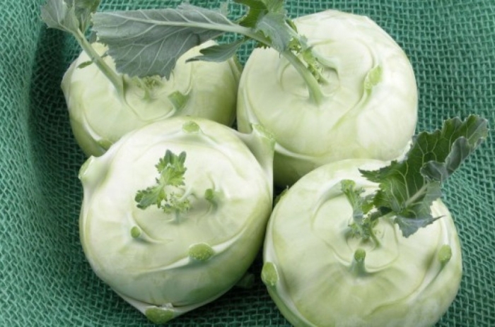 Капуста кольраби рецепты