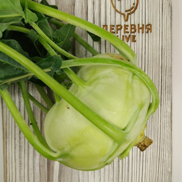 Капуста кольраби