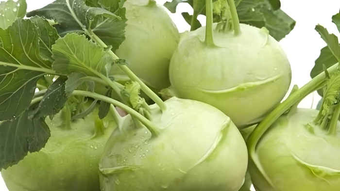 Капуста кольраби венская белая 1350