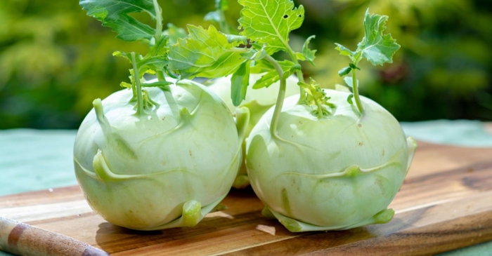 Капуста кольраби