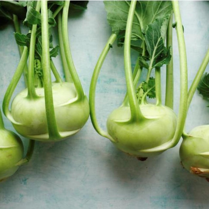 Капуста кольраби атена