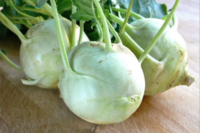 Капуста кольраби