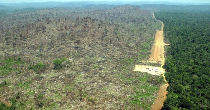 Обезлесение бразилии