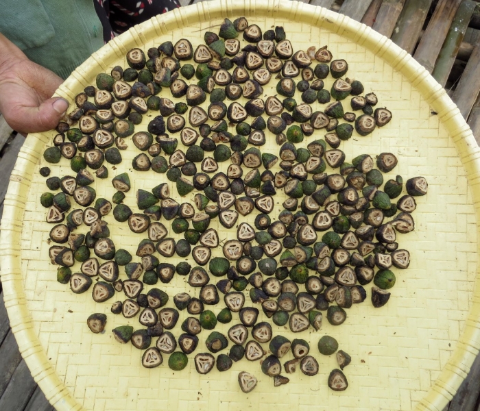 Бетель шри ланка