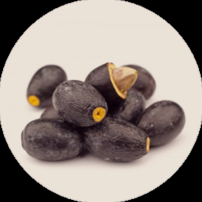 Смола элеми