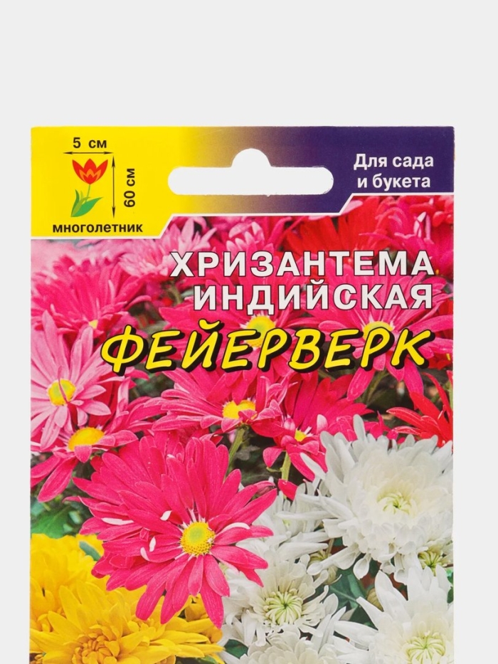 Хризантема индийская фейерверк