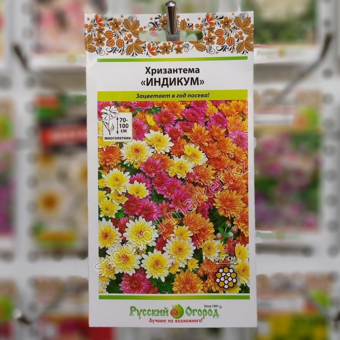 Хризантема крупноцветковая индийская смесь