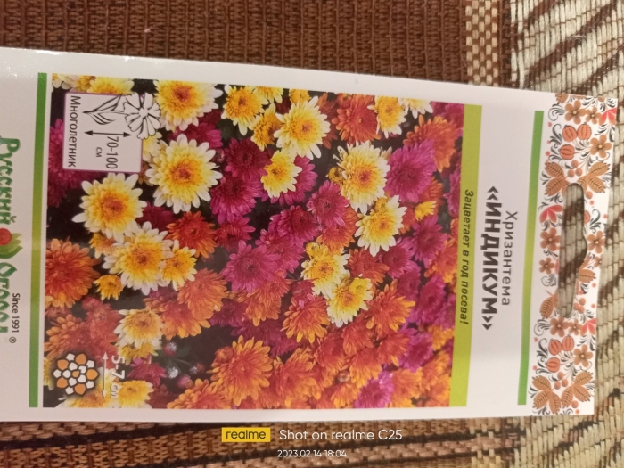 Хризантема индийская индикум