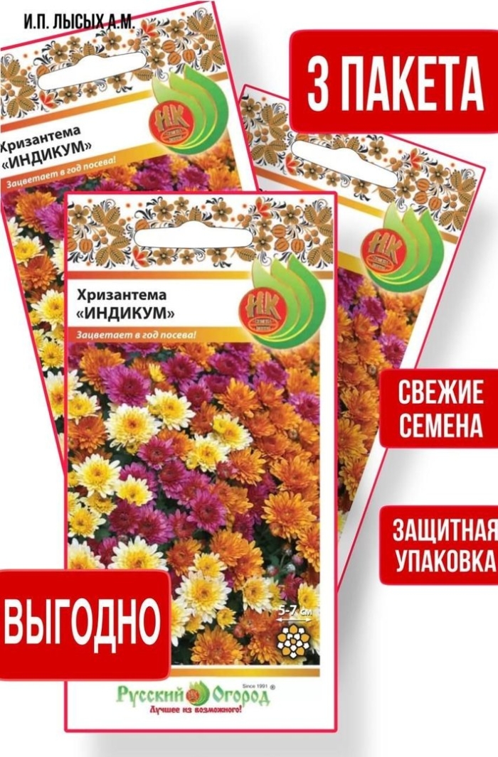 Цветы хризантема индийская индикум смесь (50шт)